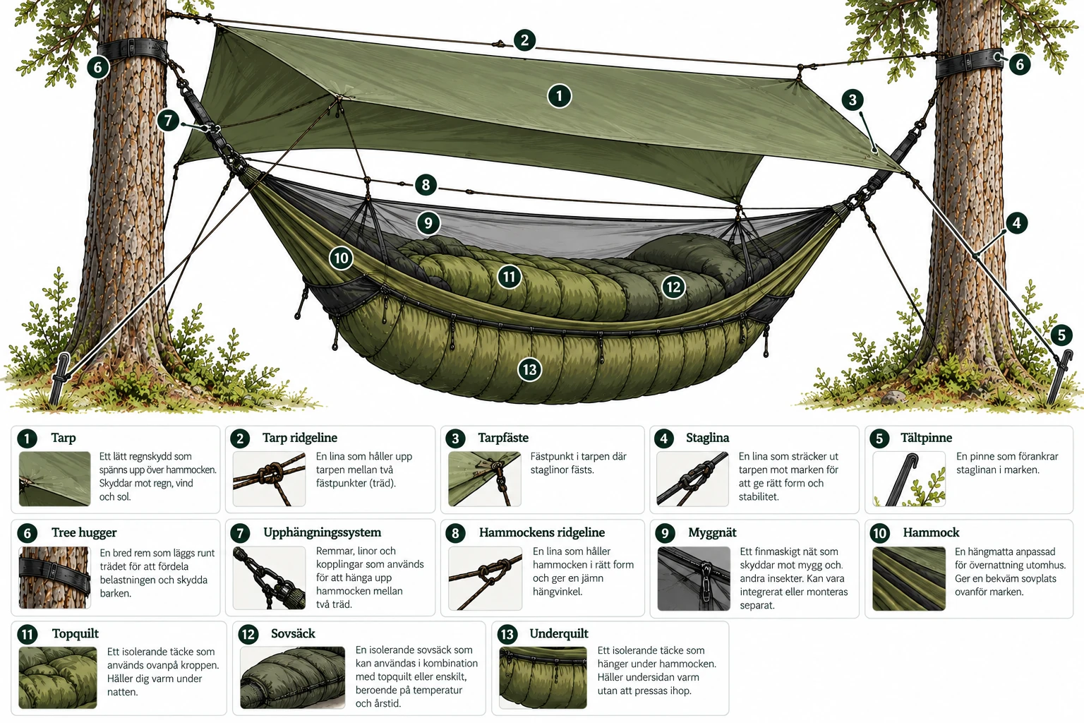 Illustrerad utrustningsguide: en hammock uppspänd mellan två träd med tarp ovanför, numrerade delar 1–13 – tarp, tarp ridgeline, tarpfäste, staglina, tältpinne, tree hugger, upphängningssystem, hammockens ridgeline, myggnät, hammock, topquilt, sovsäck och underquilt – med förklaringar på svenska.